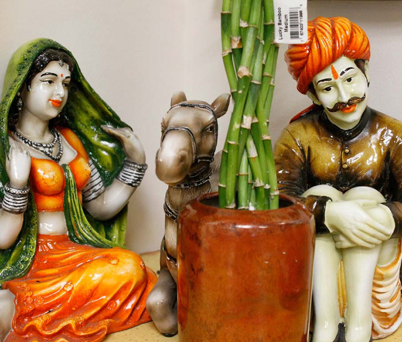 Book by Radhika Gupta